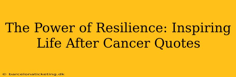 The Power of Resilience: Inspiring Life After Cancer Quotes