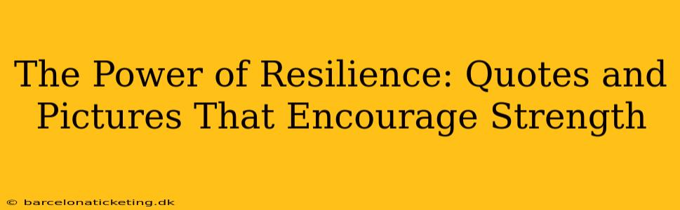 The Power of Resilience: Quotes and Pictures That Encourage Strength