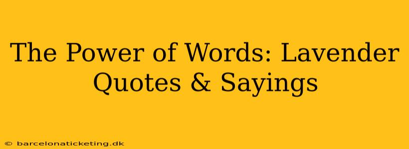 The Power of Words: Lavender Quotes & Sayings