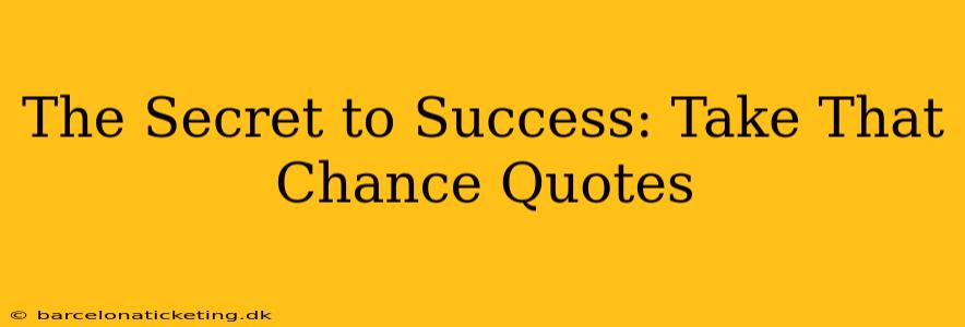 The Secret to Success: Take That Chance Quotes