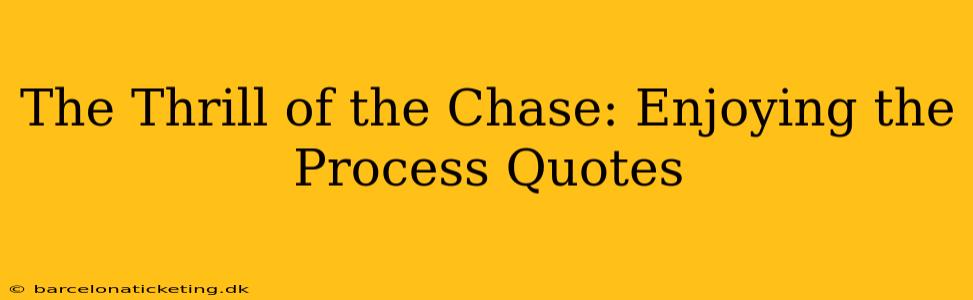 The Thrill of the Chase: Enjoying the Process Quotes
