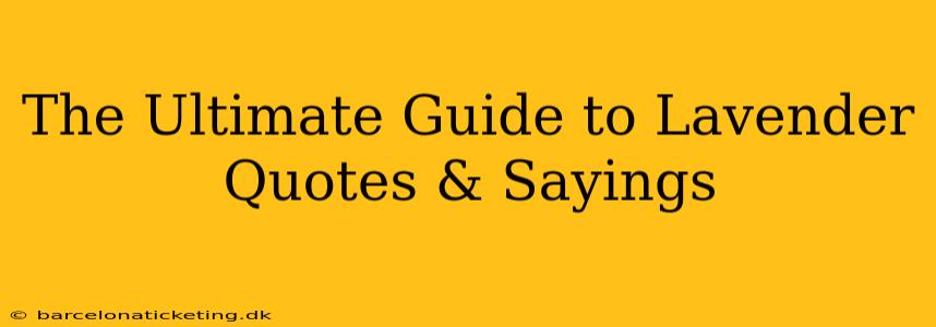 The Ultimate Guide to Lavender Quotes & Sayings