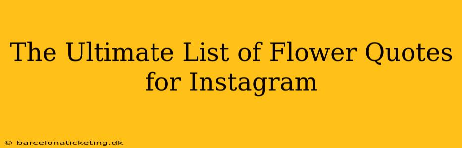 The Ultimate List of Flower Quotes for Instagram