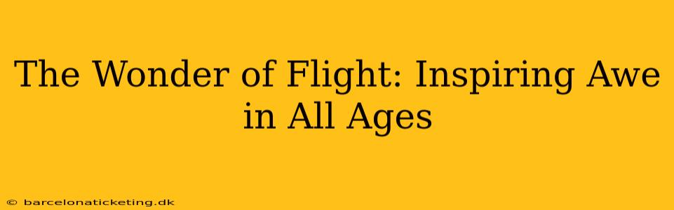The Wonder of Flight: Inspiring Awe in All Ages