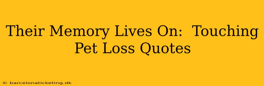 Their Memory Lives On:  Touching Pet Loss Quotes