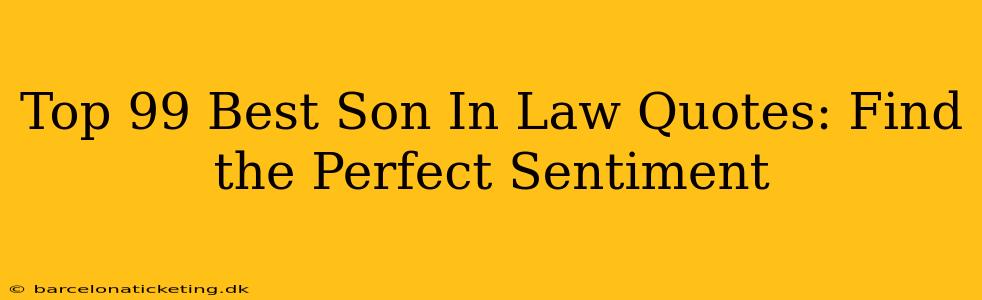 Top 99 Best Son In Law Quotes: Find the Perfect Sentiment