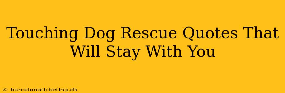 Touching Dog Rescue Quotes That Will Stay With You