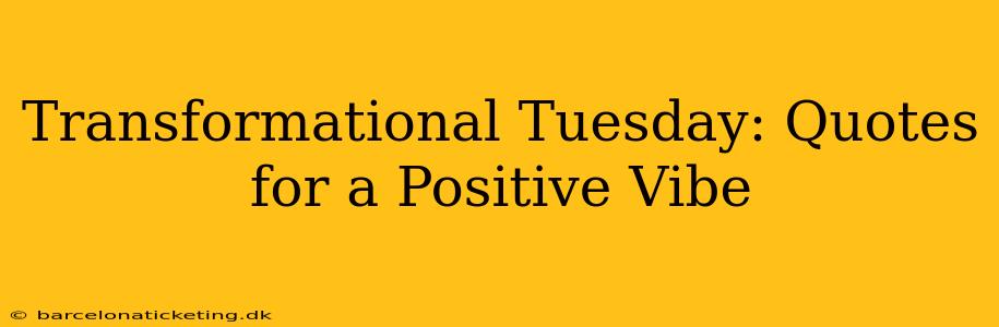 Transformational Tuesday: Quotes for a Positive Vibe
