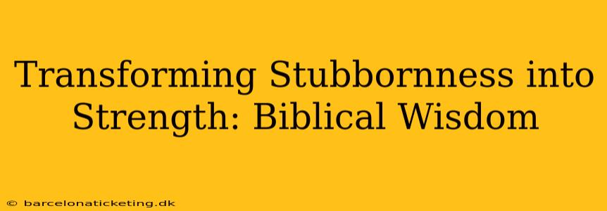 Transforming Stubbornness into Strength: Biblical Wisdom