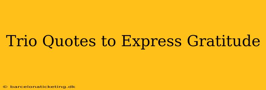 Trio Quotes to Express Gratitude