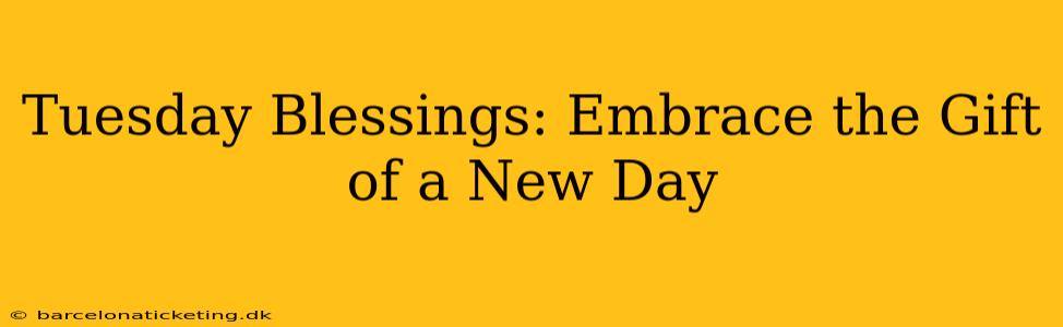 Tuesday Blessings: Embrace the Gift of a New Day