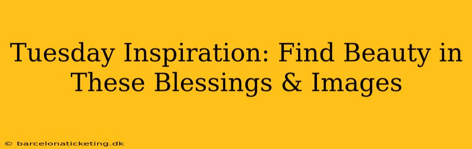 Tuesday Inspiration: Find Beauty in These Blessings & Images