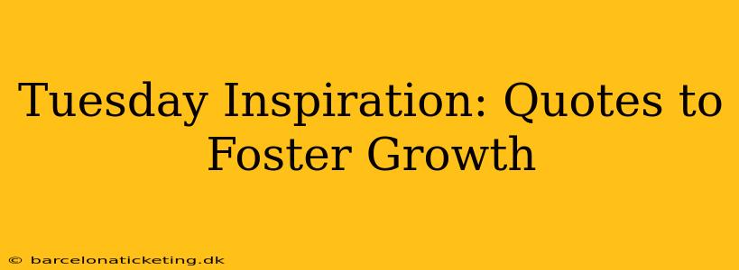 Tuesday Inspiration: Quotes to Foster Growth