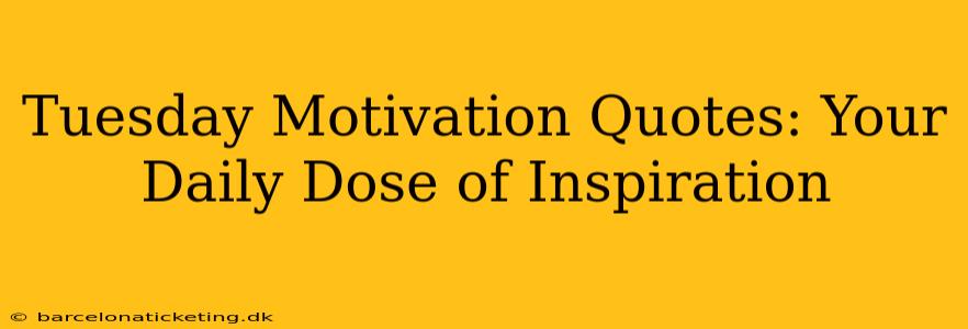 Tuesday Motivation Quotes: Your Daily Dose of Inspiration