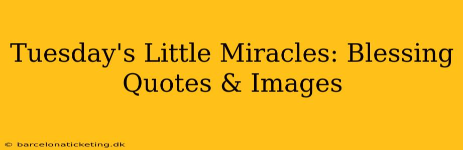 Tuesday's Little Miracles: Blessing Quotes & Images