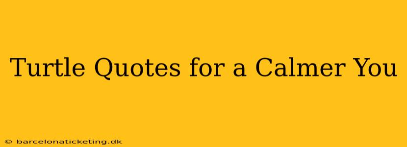Turtle Quotes for a Calmer You