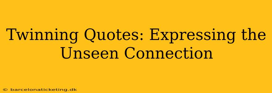 Twinning Quotes: Expressing the Unseen Connection