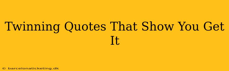 Twinning Quotes That Show You Get It