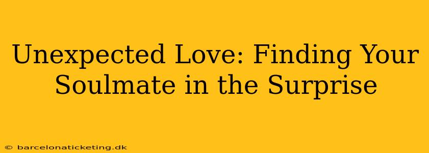 Unexpected Love: Finding Your Soulmate in the Surprise