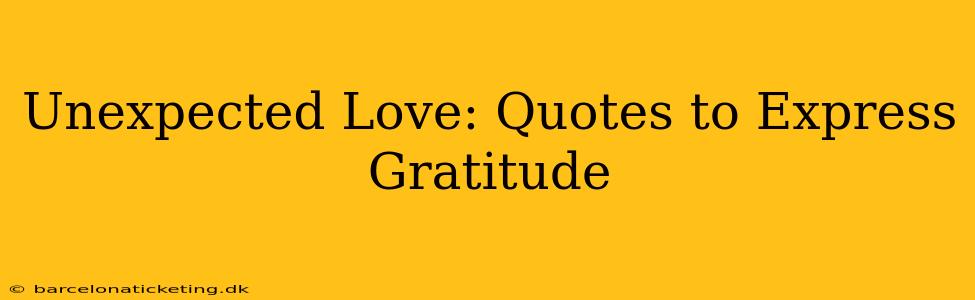 Unexpected Love: Quotes to Express Gratitude