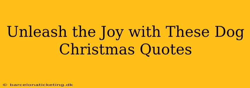 Unleash the Joy with These Dog Christmas Quotes