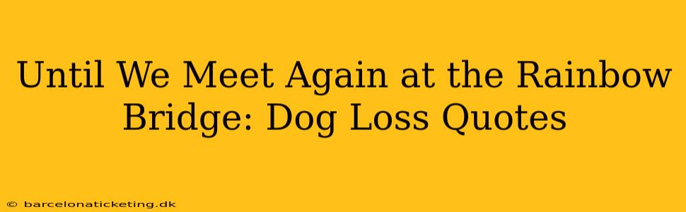 Until We Meet Again at the Rainbow Bridge: Dog Loss Quotes