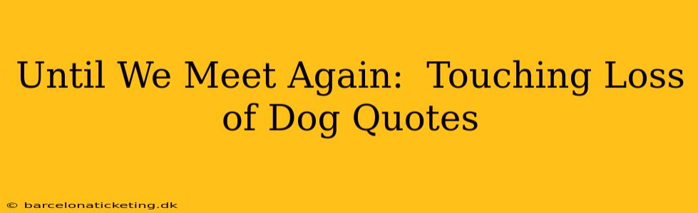 Until We Meet Again:  Touching Loss of Dog Quotes