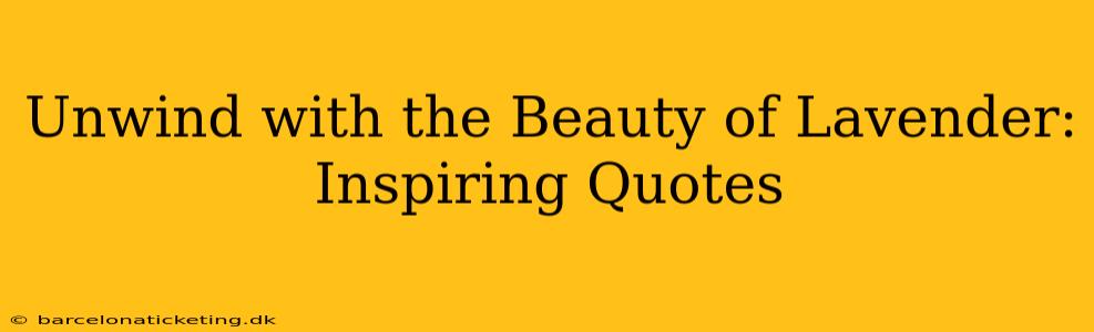 Unwind with the Beauty of Lavender: Inspiring Quotes