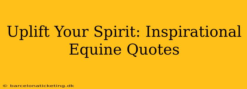 Uplift Your Spirit: Inspirational Equine Quotes