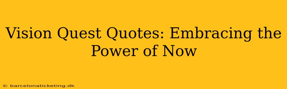 Vision Quest Quotes: Embracing the Power of Now