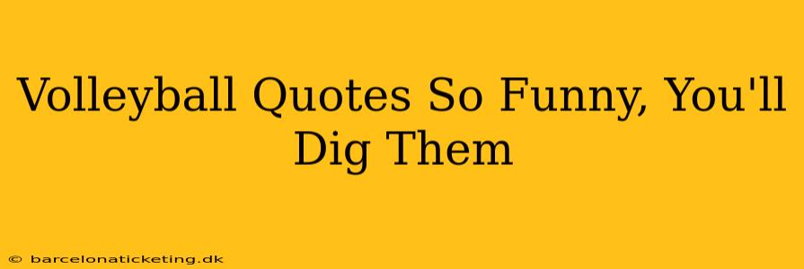 Volleyball Quotes So Funny, You'll Dig Them