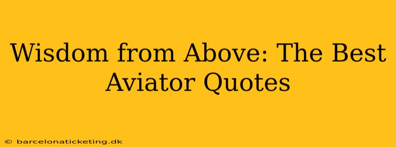 Wisdom from Above: The Best Aviator Quotes